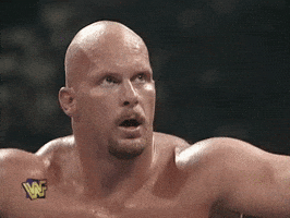 Steve Austin Wrestling GIF by WWE
