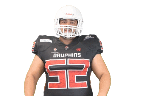 Football Nfl Sticker by Les Dauphins de Nice