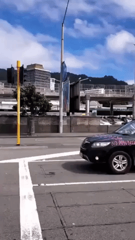 Anti-Vaccine-Mandate Protesters Travel in Convoy to Wellington