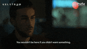 Tom Austen Helstrom GIF by HULU