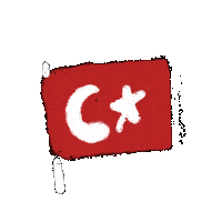 Futbol Flag Sticker