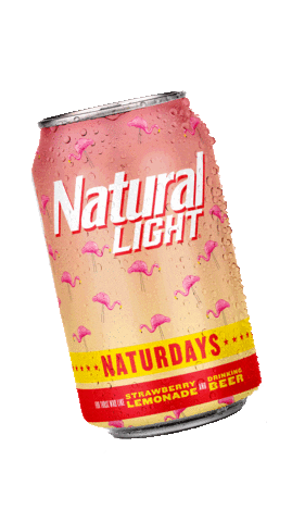 Natural-Light-Beer giphyupload party summer drink Sticker