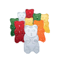 jeunesse manifestation Sticker by Jour de la Terre