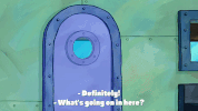 season 9 GIF by SpongeBob SquarePants