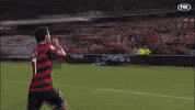 Champions League Football GIF by wswanderersfc