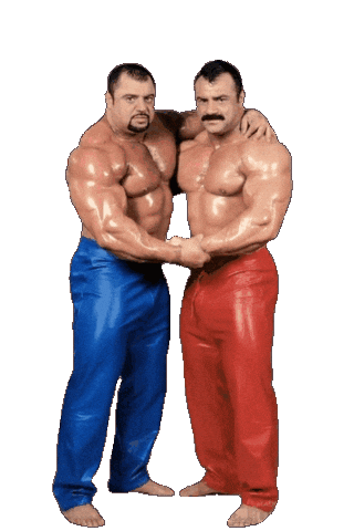 Gay Queer Sticker by Database數據