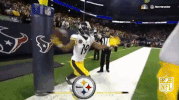 Pittsburgh Steelers Football GIF by NFL