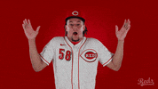 Luis Castillo Baseball GIF by Cincinnati Reds