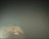 Gold GIF by Mereba