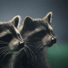 Electrifying Electric Vehicle GIF by Škoda Global