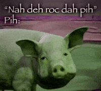Pih GIF