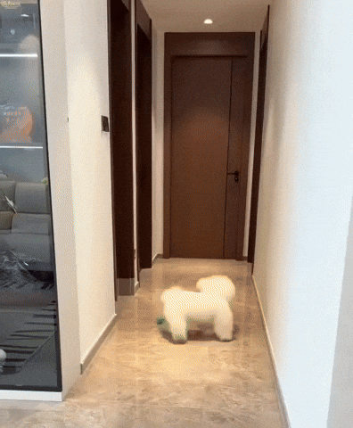 lehiyen222 giphyupload GIF