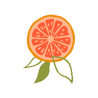 BrunchBuddy grapefruit grape fruit brunchbuddy brunchbuddyuncorked Sticker