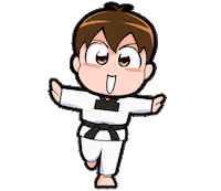 Taekwondo 태권도 Sticker