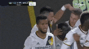 romain alessandrini goal GIF by LA Galaxy