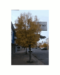 elojodenestor gif photography gifphotography fotografia liquida gifphoto GIF