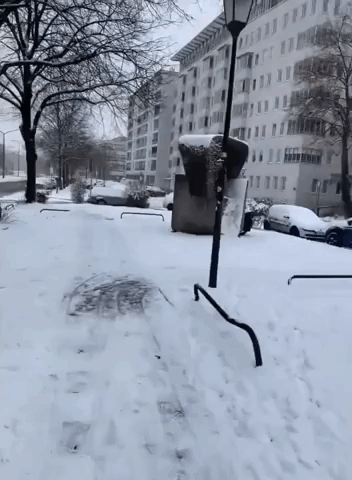 Munich's First Major Snowfall Covers Cars, Blankets Streets