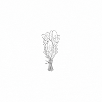 SageSocial sage sagesocial sage social GIF