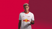 Magic Stick Celebration GIF by RB Leipzig