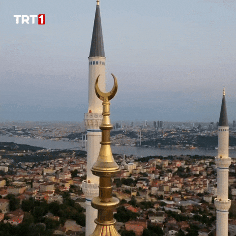 Night Drone GIF by TRT
