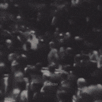 King History GIF