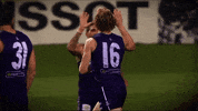 freodockers fremantle dockers freo fremantle dockers GIF