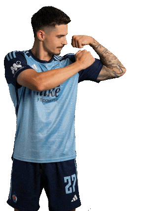 Slovan Futbal Sticker by Ruka Hore