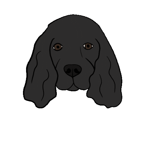 perritofrito giphyupload dino cocker perritofrito Sticker