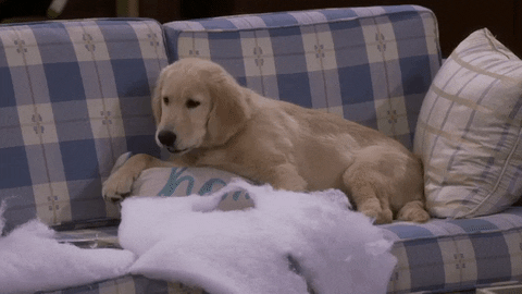 jodie sweetin GIF by Fuller House