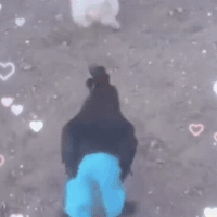 Running GIF by Respective