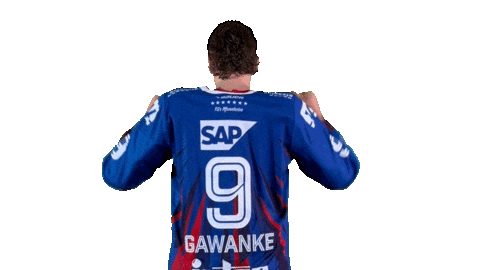 Eishockey Sticker by Adler Mannheim