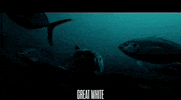 Apple Tv Movie GIF by Altitude Films