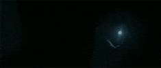 Ethan Hawke Survive The Night GIF by The Forever Purge