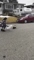 Woman Braves Stink to Free Skunk's Head From Burger King Cup