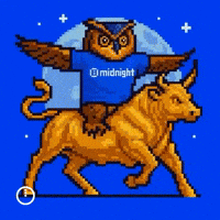 midnightnetwork crypto blockchain midnight privacy GIF