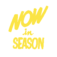 Anniversary Sale Sticker by Nordstrom Social