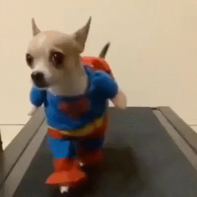 way help GIF