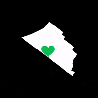 New York Love GIF by This Bushwick Life