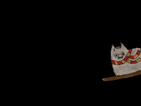 Harrykat GIF by Kunstkwartier