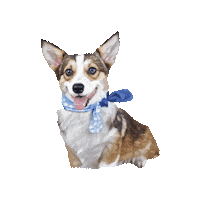 belluccimanila belluccimanila sundaethecorgi Sticker