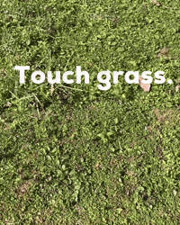 Touch Grass GIF
