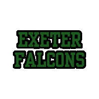 ExeterFalcons falcons americanfootball flagfootball exeter Sticker