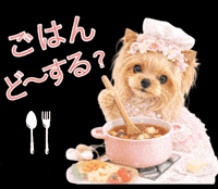 Yorkshire Terrier Dog GIF