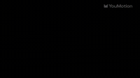 Scribble Transitions Collection