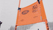 Team Usa Sport GIF by U.S. Ski & Snowboard Team