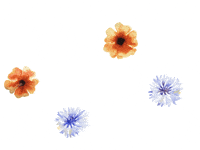 Floating Flower Power GIF by art of madeleine