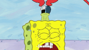 season 9 GIF by SpongeBob SquarePants