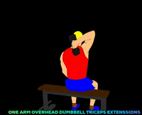 Workout Sitting GIF