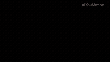 Animated Portfolio Slides