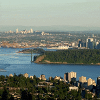 British Columbia Business GIF by Oi